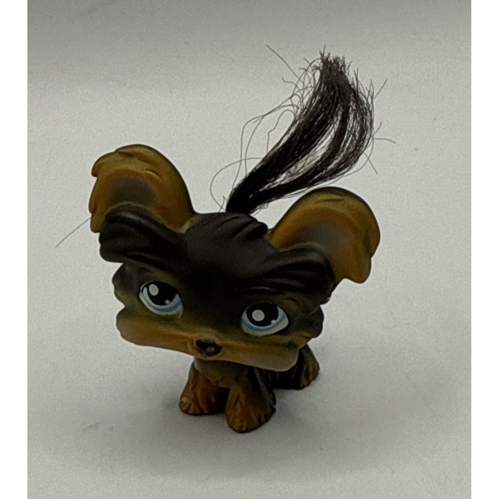 Littlest Pet Shop LPS #141 Brown YORKIE SHIH TZU PUPPY DOG Blue Eyes Real Hair